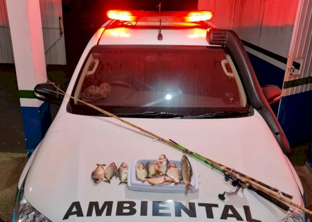 Polícia Militar Ambiental de Naviraí prende e autua pescador em R$ 1,2 mil por pescar durante a piracema
