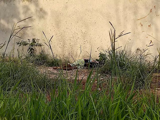 Homens são assassinados com facadas, tiro e pauladas
