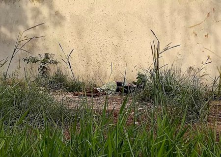 Homens são assassinados com facadas, tiro e pauladas