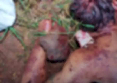 Homem é assassinado com pedradas na cabeça e facadas no pescoço