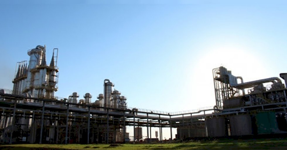 Adecoagro obteve lucro de US$ 65,17 milhões no primeiro trimestre de 2022
