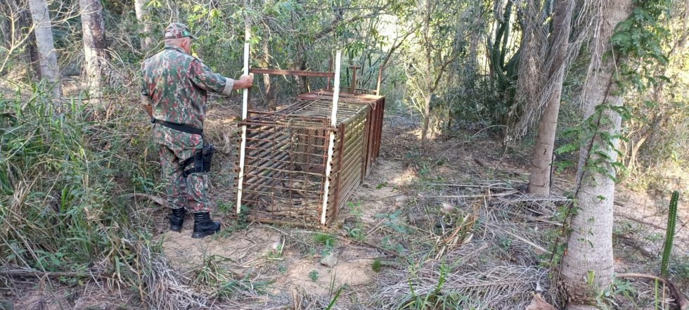 PMA de Batayporã realiza fiscalização contra caçadores em reserva florestal de fazenda, evita caça ilegal e apreende armadilha de caça