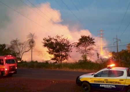 Incêndio no Viveiro de Dourados mobiliza equipes da Prefeitura.