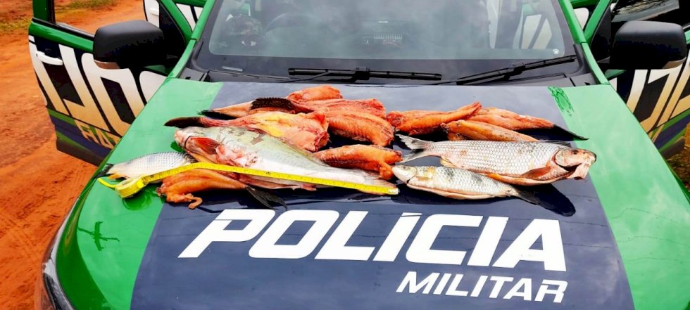 Polícia Militar Ambiental de Naviraí autua pescador em R$ 1 mil e apreende 12 kg de pescado ilegal