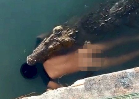 Crocodilo de mais de três metros mata homem que nadava em lago, no México; veja vídeo