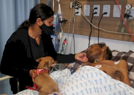 PACIENTE EM CUIDADOS PALIATIVOS RECEBE VISITA DE CACHORRINHO DE ESTIMAÇÃO NA SANTA CASA