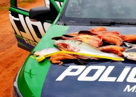 Polícia Militar Ambiental de Naviraí autua pescador em R$ 1 mil e apreende 12 kg de pescado ilegal