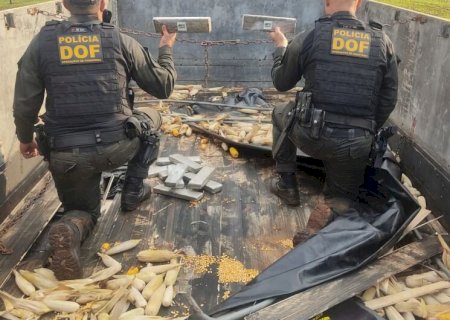 Polícia apreende mais de 1t de maconha que seria deixada em posto de combustíveis.