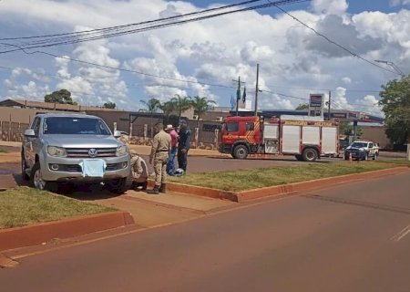 Motociclista morre em acidente em Dourados.