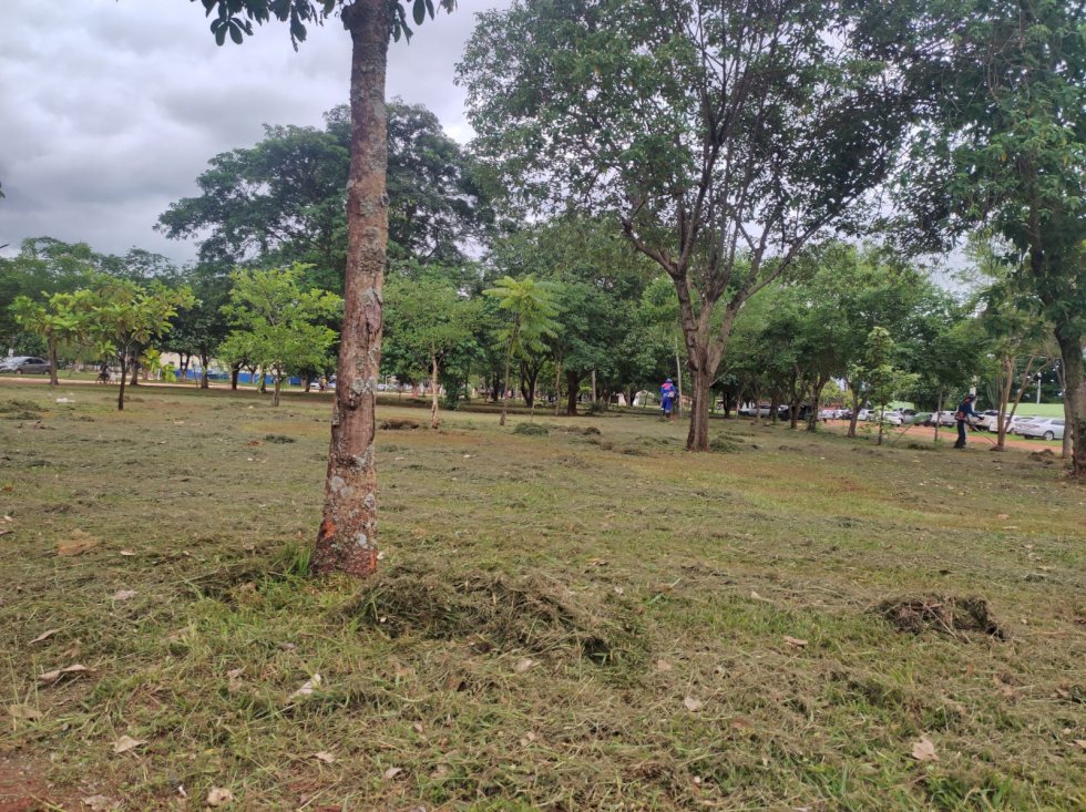 Angélica - Prefeitura não para mesmo com as fortes chuvas.