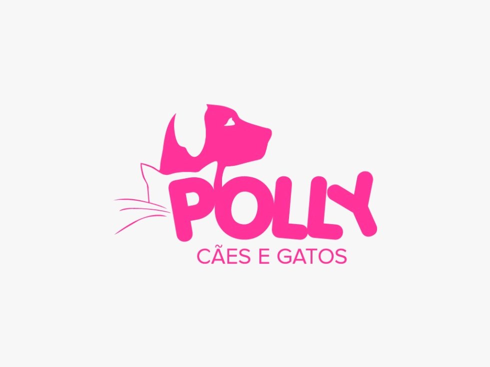 IVINHEMA: ONG de animais realiza rifa para custear tratamentos e busca por novos voluntários