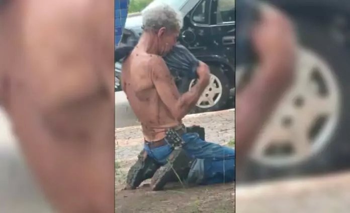 Homem de 70 anos recebe 500 picadas de abelhas em ataque