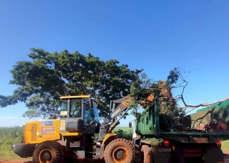 Angélica - Prefeitura municipal vem realizando manutenção das estradas vicinais, e limpeza da cidade e do distrito Ipezal.