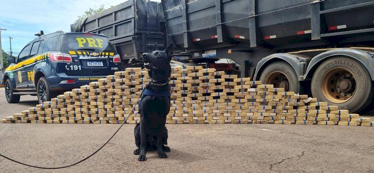 PRF apreende 210 Kg de pasta base de cocaína.