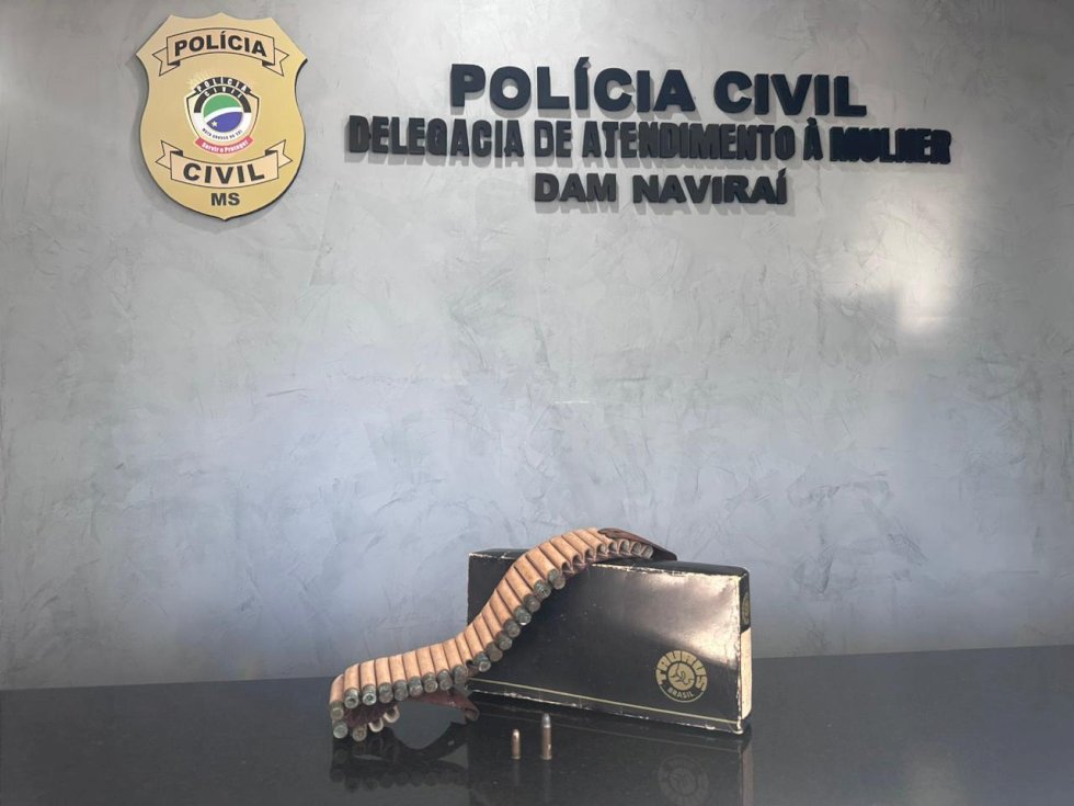 Polícia Civil prende homem por posse ilegal de munição de arma de fogo em Naviraí