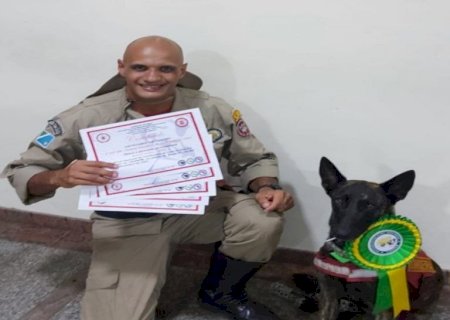 Taquarussu - Cadela farejadora Laika irá ajudar na busca da jovem desaparecida.