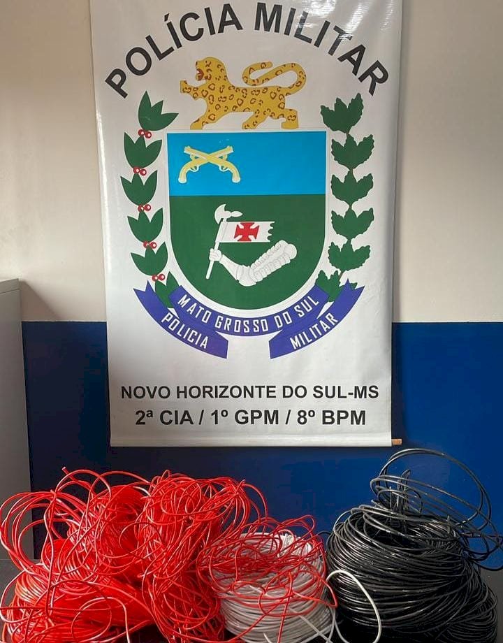 Polícia Militar prende em flagrante autor de furto em Novo Horizonte do Sul.
