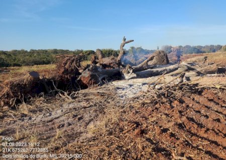 PMA orienta os produtores rurais sobre a suspensão das autorizações de queima controlada.
