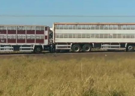 Engavetamento entre caminhões deixa feridos próximo a Embrapa na BR-163.
