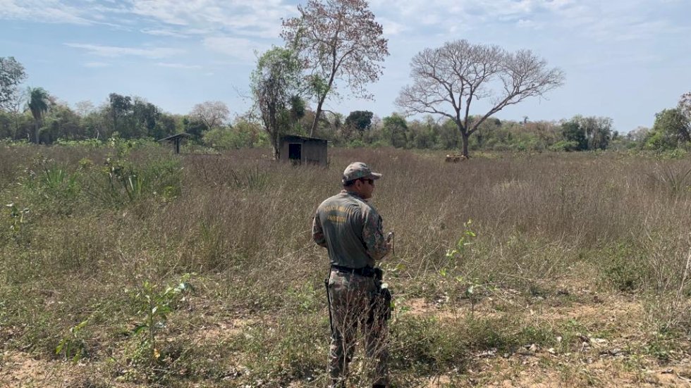 PMA autua propriedades por supressão em áreas remanescentes de vegetação nativa.