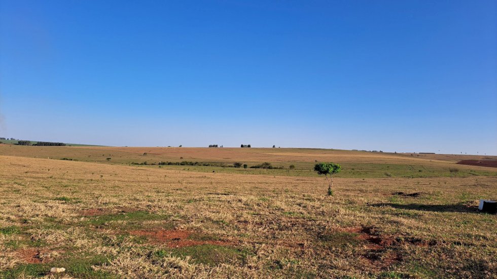 Terça-feira tem previsão de tempo estável, com temperaturas altas em MS
