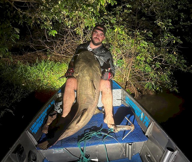Empresário fisga jaú gigante de 60kg e 1,75m durante pescaria noturna em rio de MS.