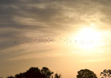 Previsão para esta quarta-feira é de sol e temperaturas podem atingir 40°C em MS.