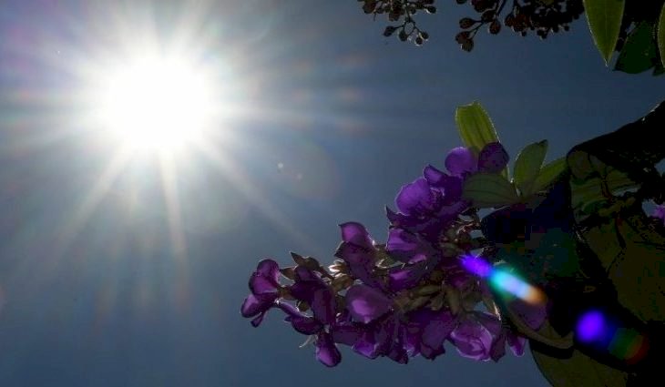 Sábado tem previsão de sol e tempo estável retorna a MS após dias chuvosos