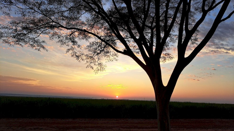 Fevereiro tem início com quinta-feira de sol e variação de nebulosidade em MS