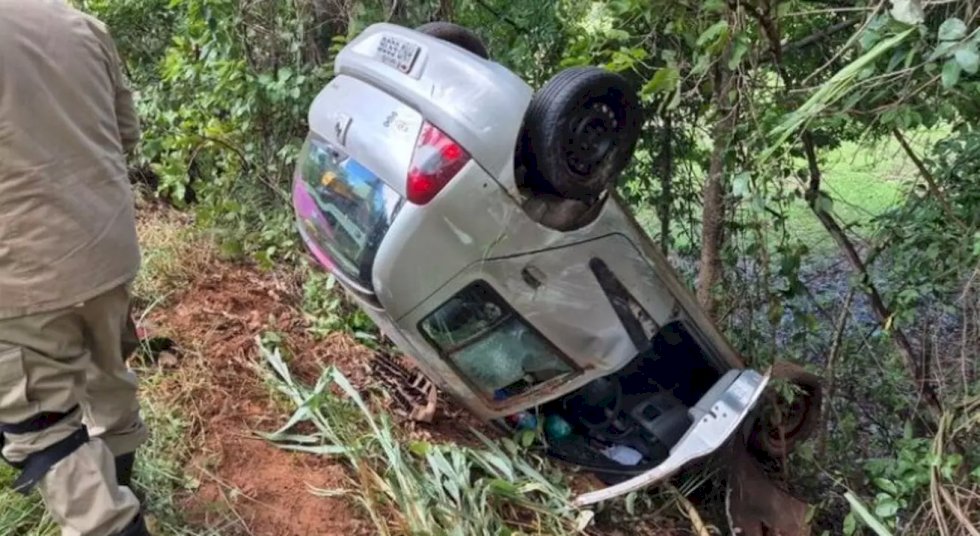Motorista desvia de animal na pista e carro capota