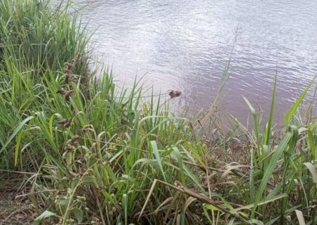 Durante pesca com esposa homem morre afogado no Rio Dourados