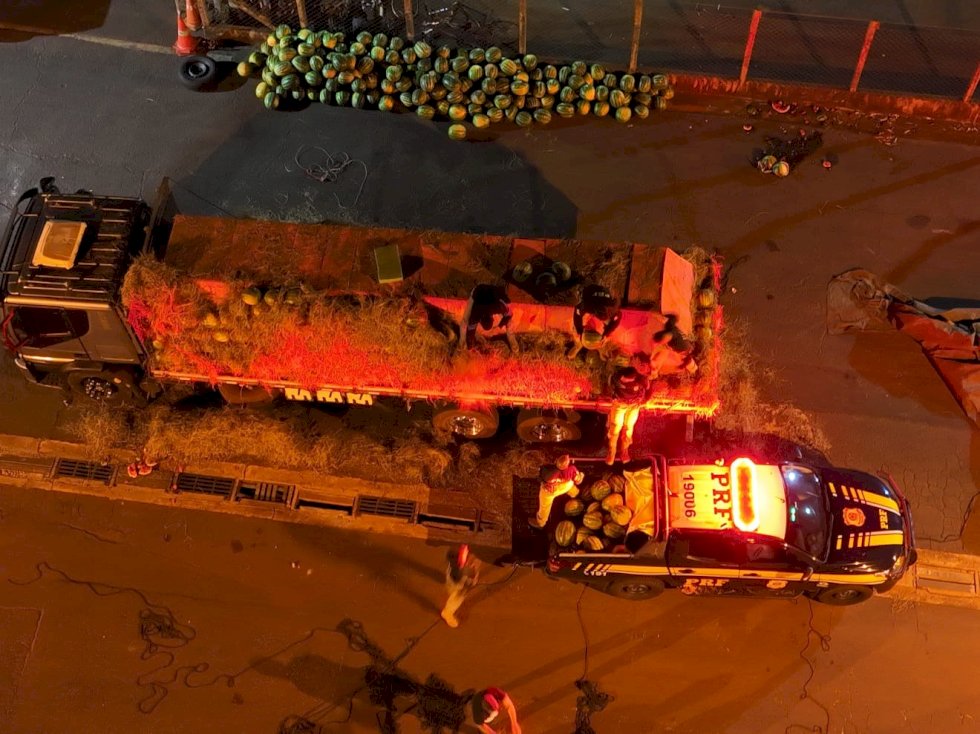 PRF desmonta entreposto de drogas, apreende 16 toneladas de maconha e prende seis pessoas