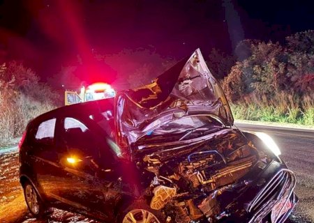 Família se envolve em acidente ao atropelar anta na BR-163