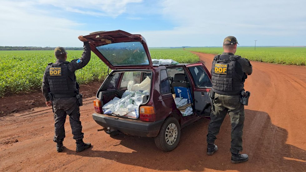Veículo carregado com 400 quilos de agrotóxicos e pneus ilegais é apreendido pelo DOF