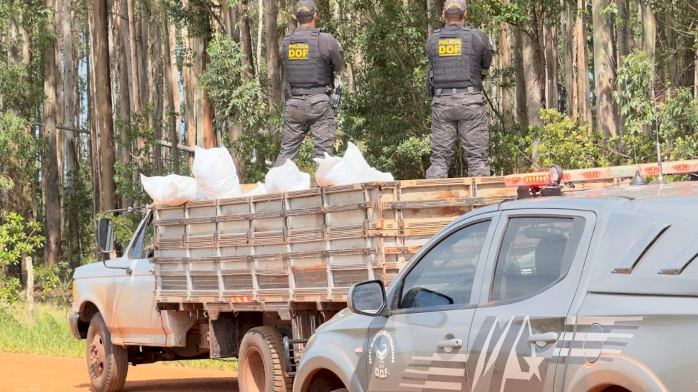 Mais de três toneladas de defensivo agrícola ilegal são apreendidas pelo DOF