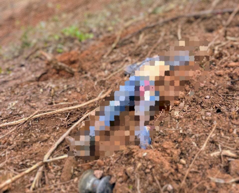 Tratorista morre após trator capotar enquanto removia vegetação em ribanceira de rodovia