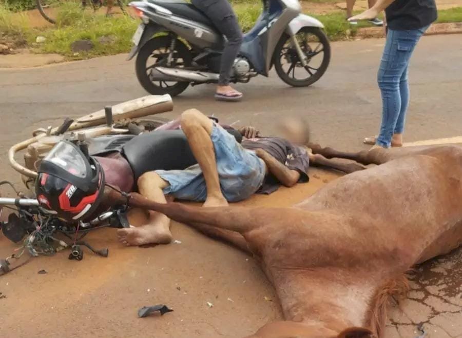 Motociclista bate em cavalo solto e quebra a perna