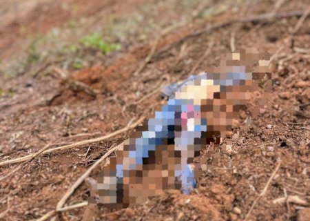 Tratorista morre após trator capotar enquanto removia vegetação em ribanceira de rodovia