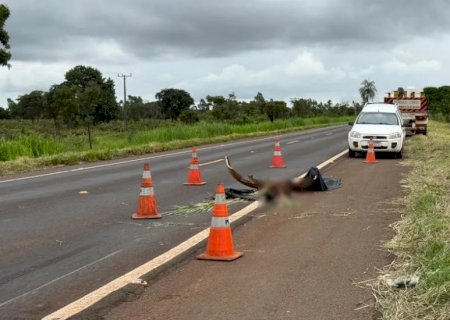 Criança morre em acidente entre carro e caminhão prancha na BR-267 próximo a Nova Alvorada do Sul