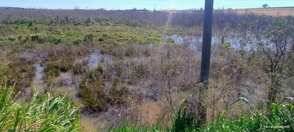 Angélica — Reserva de 17 alqueires é destruída pela invasão das águas e areia no Rio Piraveve