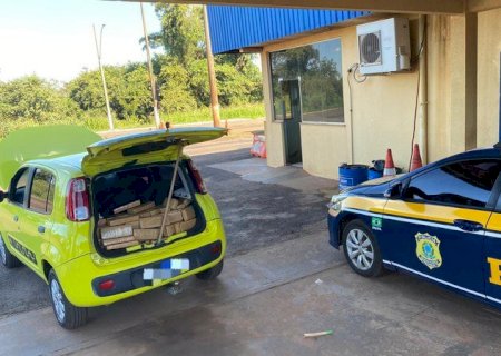 PRF apreende 404 Kg de maconha