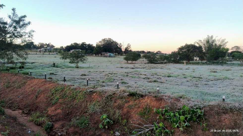 Ivinhema - Geada atinge Ivinhema e mais 14 municípios de Mato Grosso do Sul