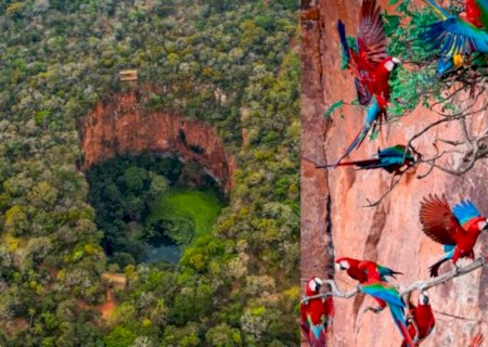'Mundo perdido': Buraco milenar abriga 120 araras-vermelhas e mais de 150 espécies de aves e répteis