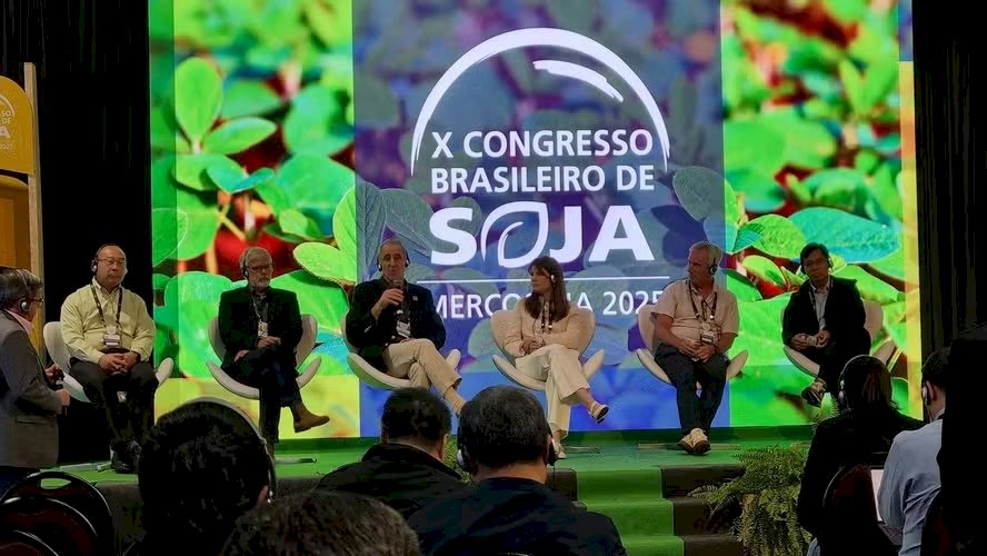 Empresas chinesas desenvolvem novos transgênicos adaptados ao clima do Brasil