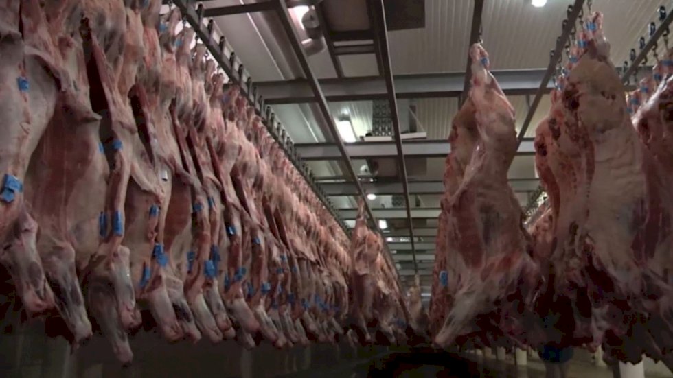 Apesar das preocupações com as tarifas dos EUA, exportações de carne bovina disparam em julho e superam volume de 2024