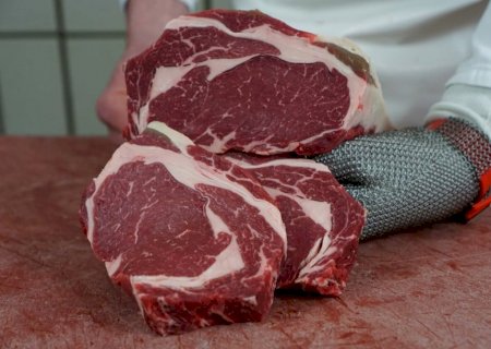 Carne bovina: Abrafrigo prevê perda de US$ 1,3 bilhão em 2025 com tarifa dos EUA