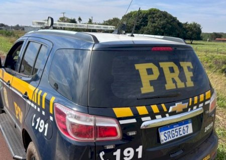 Ivinhema - PRF apreende caminhão que transportava 33 cavalos de forma irregular e sob maus tratos