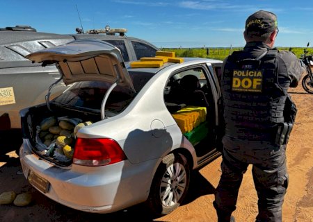 DOF apreende mais de meia tonelada de drogas em carro roubado no Paraná