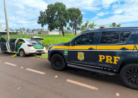 PRF apreende 1 tonelada de maconha em Campo Grande