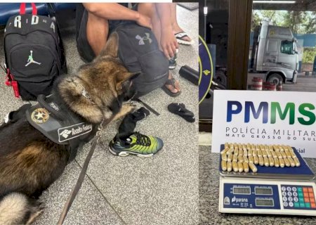Cão farejador encontra passageiros com cápsulas de cocaína no estômago e nas meias na fronteira com a Bolívia